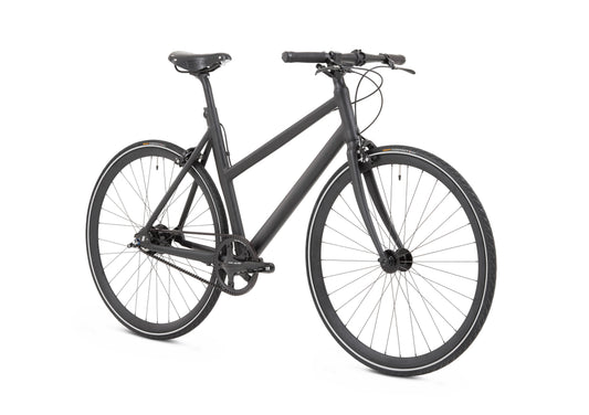 Schindelhauer - LOTTE - 11v